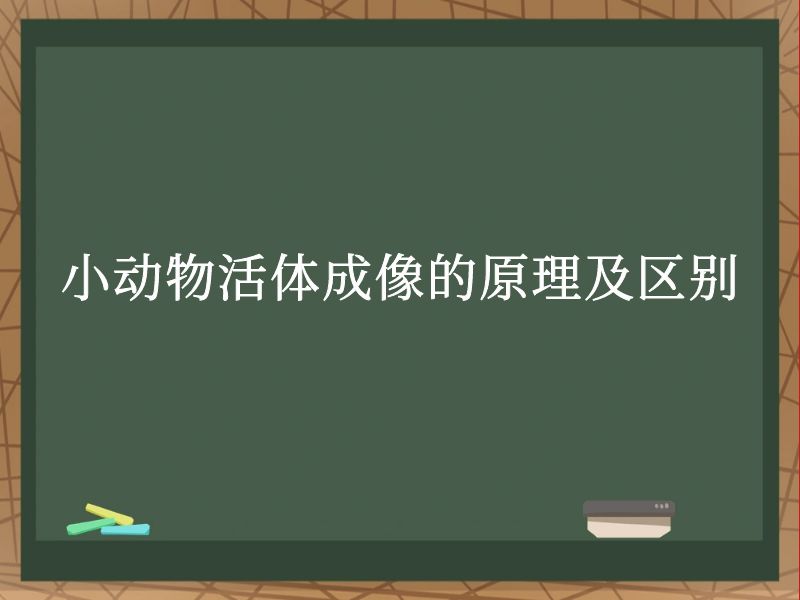 小動(dòng)物活體成像的原理及區(qū)別