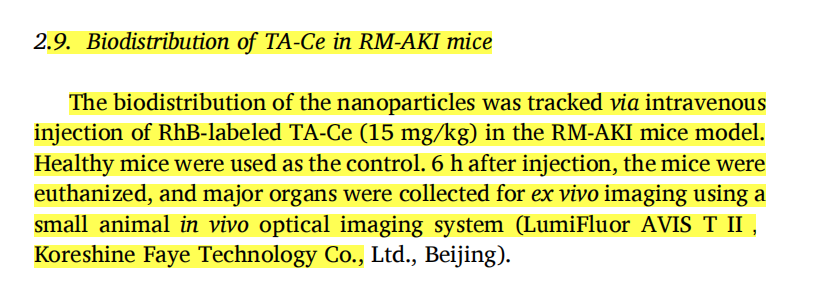 科辰星飛活體成像系統(tǒng)助力揭示單寧酸-鈰納米酶在急性腎損傷治療中的新機制