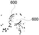 活體成像系統(tǒng)圖像重建算法的優(yōu)化與運(yùn)動(dòng)偽影抑制策略