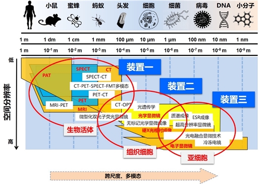 活體成像技術(shù)驅(qū)動基因治療療效評估的跨尺度可視化方案