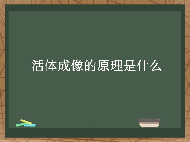  活體成像的原理是什么？