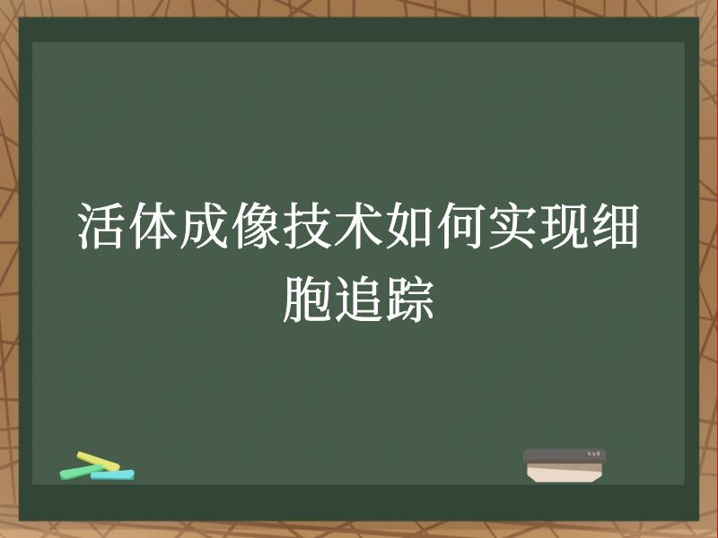 活體成像技術(shù)如何實(shí)現(xiàn)細(xì)胞追蹤