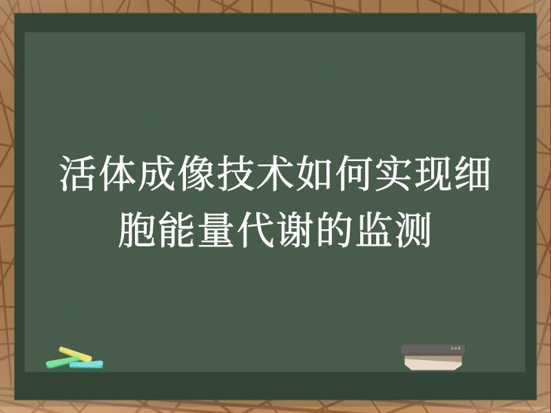 活體成像技術(shù)如何實現(xiàn)細(xì)胞能量代謝的監(jiān)測