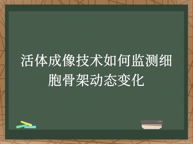 活體成像技術(shù)如何監(jiān)測(cè)細(xì)胞骨架動(dòng)態(tài)變化