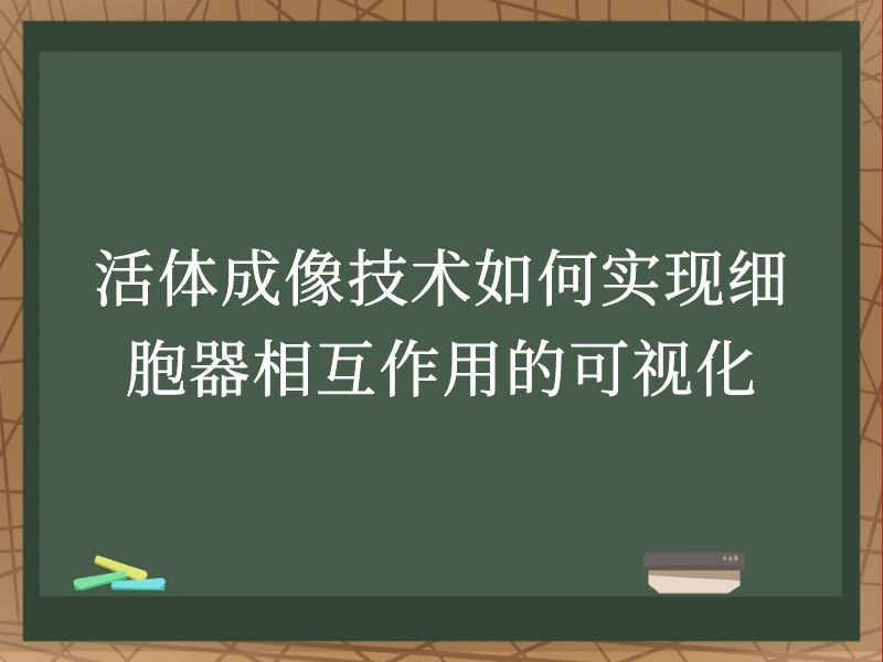 活體成像技術(shù)如何實(shí)現(xiàn)細(xì)胞器相互作用的可視化