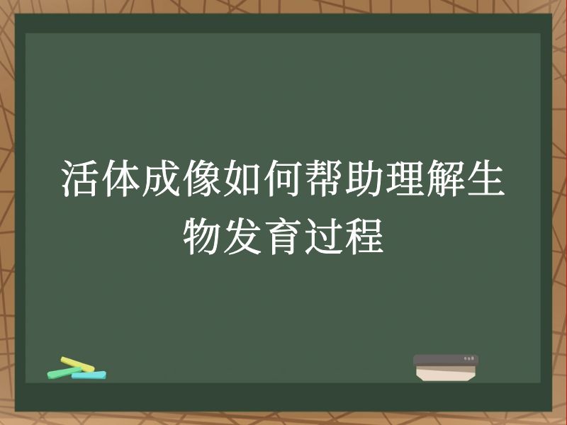 活體成像如何幫助理解生物發(fā)育過(guò)程