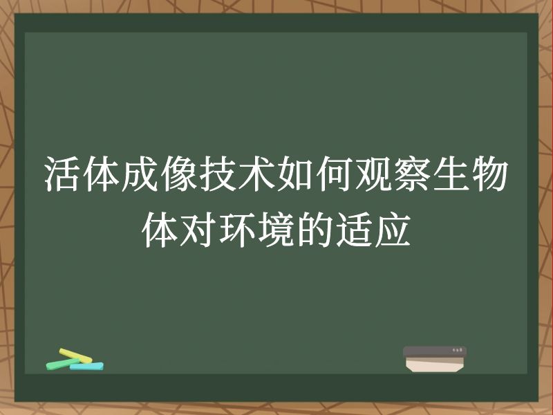 活體成像技術(shù)如何觀察生物體對(duì)環(huán)境的適應(yīng)