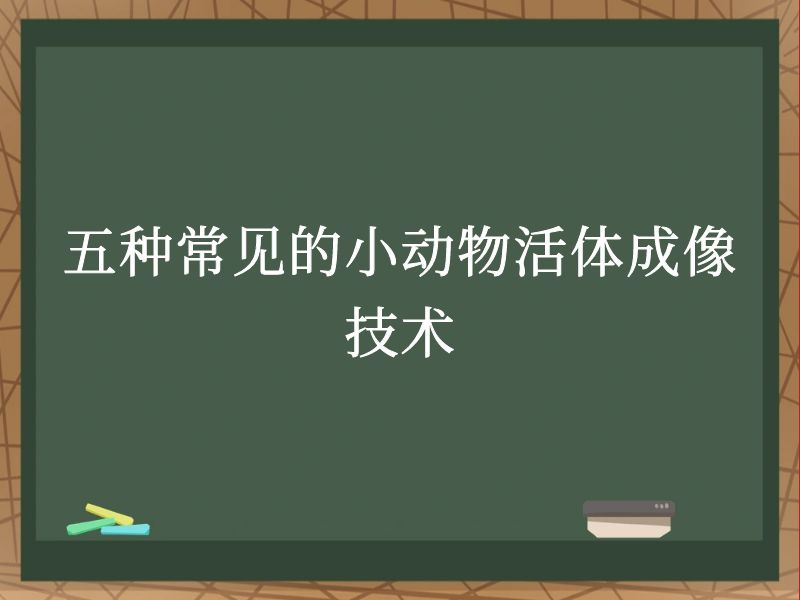 五種常見的小動物活體成像技術(shù)