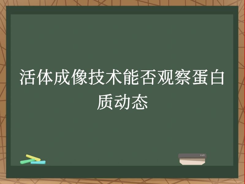 活體成像技術(shù)能否觀察蛋白質(zhì)動態(tài)